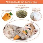 ETEKYER Interactive Cat Toys with Catnip