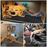Reptile Habitat Mat for Beardies and Geckos
