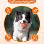 Interactive Tough Dog Ball - Motion-Activated Chew Toy