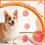 Interactive Tough Dog Ball - Motion-Activated Chew Toy