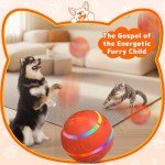Interactive Tough Dog Ball - Motion-Activated Chew Toy