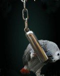 Stainless Steel Bell Toy for Parrots and Birds