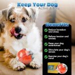 Interactive Treat Ball Toy for Dogs and Cats