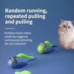 Interactive Cat Toy Balls with Feather Tails - 2 Pack