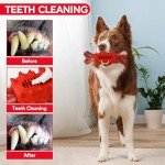 LIFLIX Tough Dog Toys for Aggressive Chewers