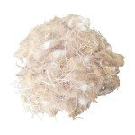 Natural Bird Nesting Materials for Budgies and Parrots