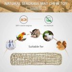 Seagrass Hammock for Birds with Climbing Ropes