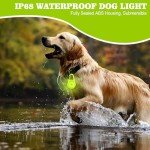 USB-C Rechargeable Dog Night Light - Waterproof & Safe