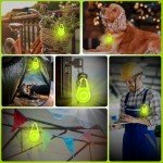 USB-C Rechargeable Dog Night Light - Waterproof & Safe