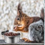 Stainless Steel Bird Feeding Cups with Clamp Holder