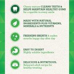 Greenies Original Dental Dog Treats Value Pack