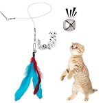 Interactive Cat Toy Set with Feather Wands and Replacements