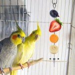 Stainless Steel Bird Food Holder Skewers (2 Pack)
