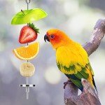 Stainless Steel Bird Food Holder Skewers (2 Pack)