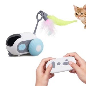 Interactive Remote Control Cat Exercise Toy
