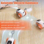 Interactive Remote Control Cat Exercise Toy