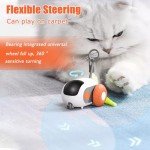 Interactive Remote Control Cat Exercise Toy