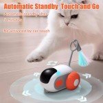 Interactive Remote Control Cat Exercise Toy
