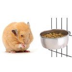 Stainless Steel Bird Feeding Bowls – 2 Pack