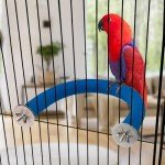 RYPET U-Shape Quartz Sand Parrot Perch
