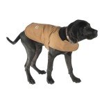 Carhartt Insulated Dog Chore Coat - Brown/Brass