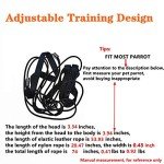 Adjustable Bird Harness and Leash for Parrots