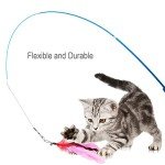 Interactive Cat Toy Set with Feather Wands and Replacements