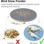 Interactive Bird Foraging Puzzle Feeder Mats - 2 Pack