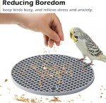 Interactive Bird Foraging Puzzle Feeder Mats - 2 Pack