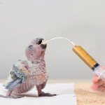 LUPAPA 60ml Baby Bird Feeding Syringe Set