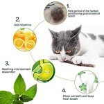 Organic Cat Chew Toys with Matatabi Sticks - 50 Pcs