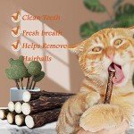 Organic Cat Chew Toys with Matatabi Sticks - 50 Pcs
