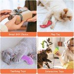 ETEKYER Interactive Cat Toys with Catnip