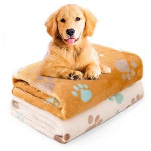 Soft Paw Print Dog and Cat Blanket 2 Pack