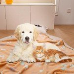Soft Paw Print Dog and Cat Blanket 2 Pack