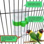 Automatic Bird Water Dispenser & Feeder Set