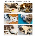 Interactive Electric Flopping Fish Cat Toy