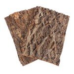 2-Pack Reptile Cork Background & Hideaway Logs