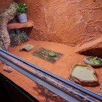 2-Pack Reptile Cork Background & Hideaway Logs