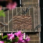 2-Pack Reptile Cork Background & Hideaway Logs