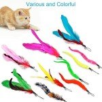 Interactive Cat Toy Set with Feather Wands and Replacements