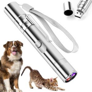 Adjustable Rechargeable Laser Pointer Toy for Cats