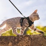 Rabbitgoo Adjustable Cat Harness with Leash - Black