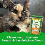 Greenies Oven Roasted Chicken Dental Cat Treats