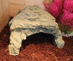 Abu I Pet Resin Reptile Hiding Cave House