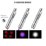 Interactive Laser Pointer Toy for Cats and Dogs