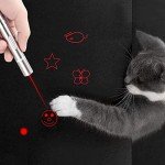 Interactive Laser Pointer Toy for Cats and Dogs