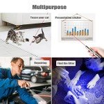 Interactive Laser Pointer Toy for Cats and Dogs