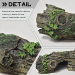 Hollow Tree Trunk Ornament for Fish Tanks