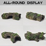 Hollow Tree Trunk Ornament for Fish Tanks